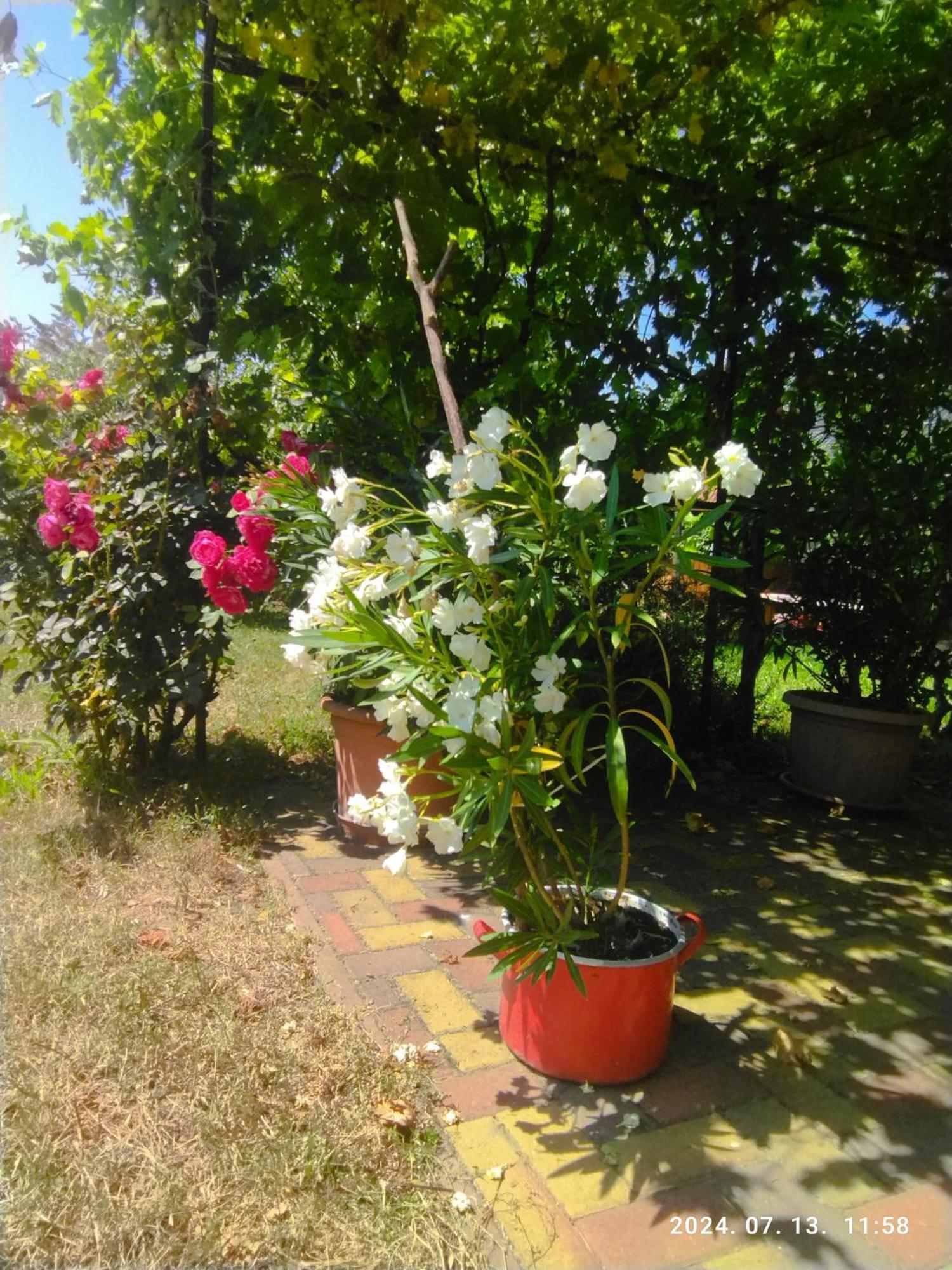 Var-Liget Vendeghaz Kisnána Exterior foto